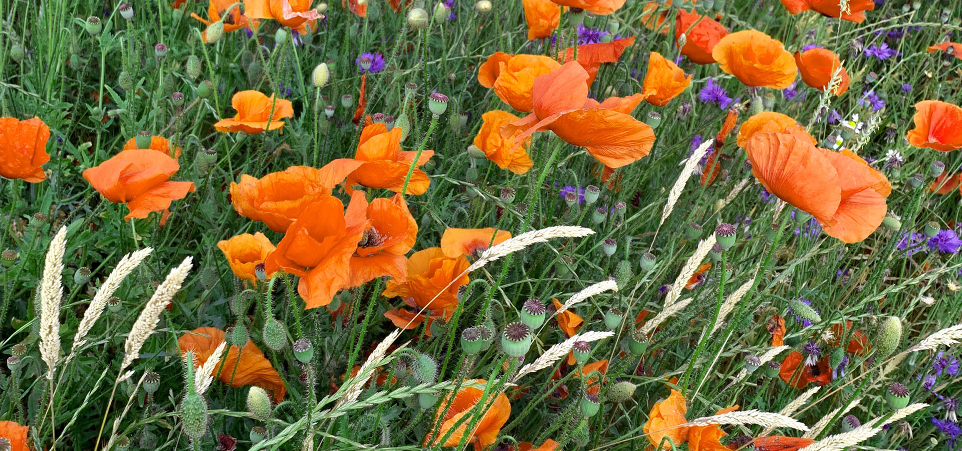 Praxis Angelika Rieck